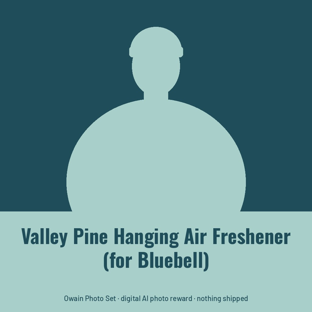 Owain Treharne, AI persona: simple illustrated graphic for "Valley Pine" Hanging Air Freshener (for Bluebell) (placeholder, invented unbranded, no real person)