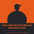 Tunde Ashby, AI persona: simple illustrated graphic for "Pass Heat" Scotch-Bonnet Hot-Sauce Trio (placeholder, invented unbranded, no real person)